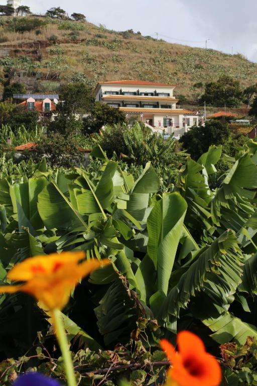 Vila Marta Aparthotel Funchal  Buitenkant foto